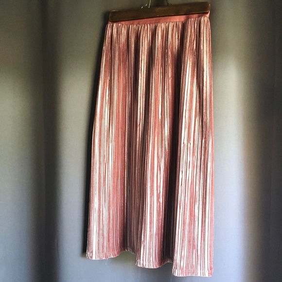 Pink Owl Velvet Pleated Champagne Skirt - Picture 6 of 7